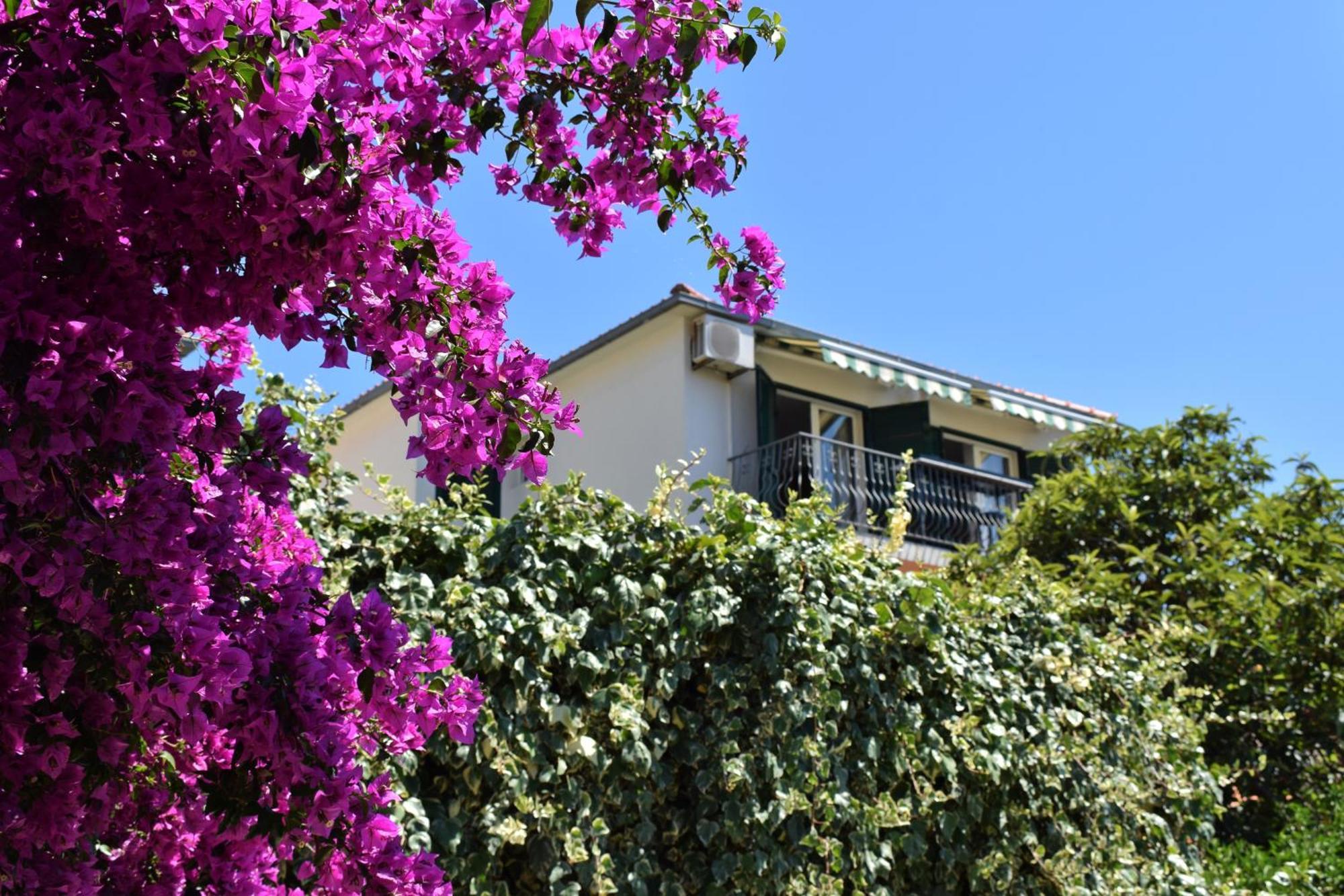 Lina Vrankovic Apartments Hvar Town Exteriör bild
