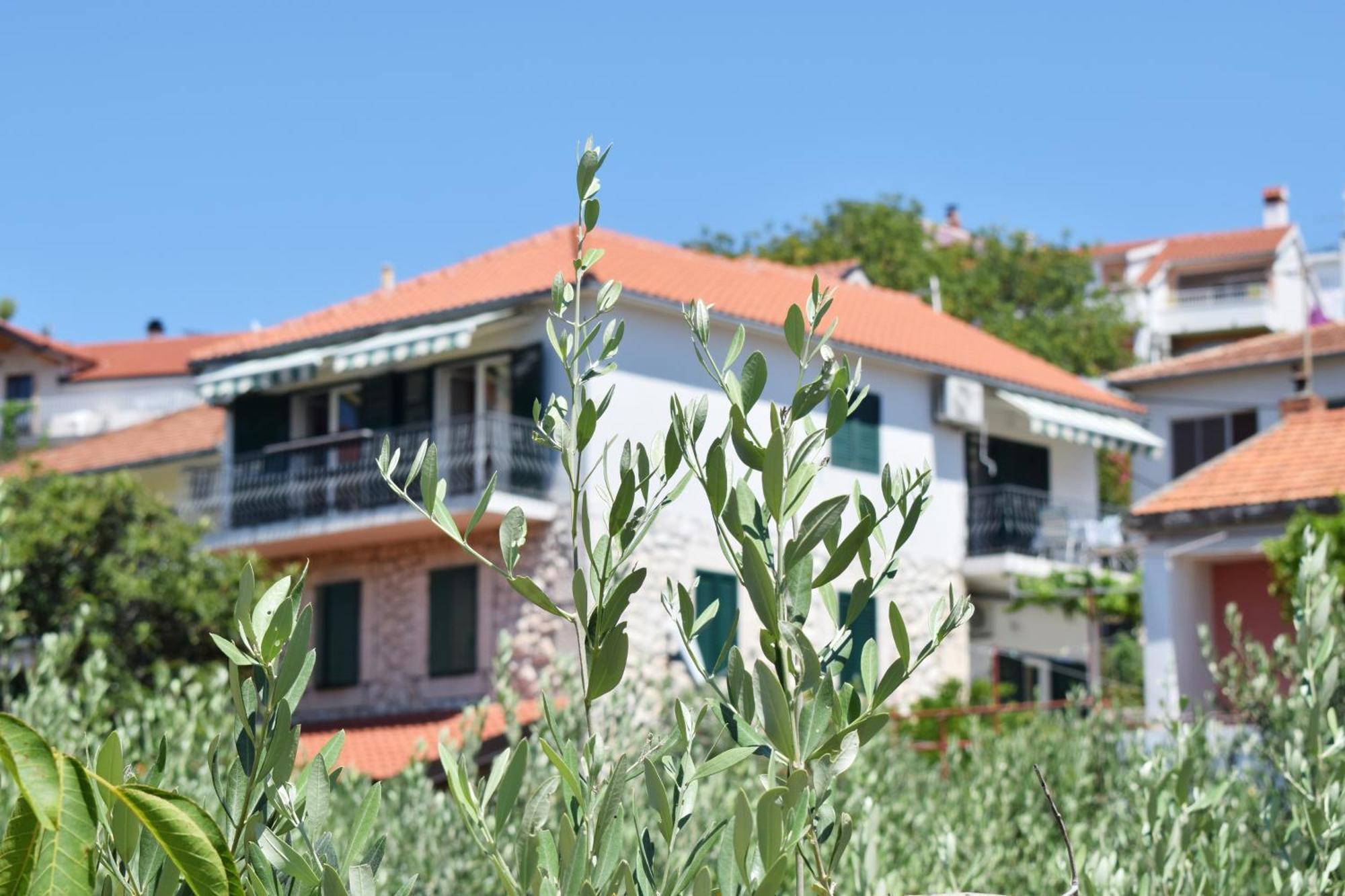 Lina Vrankovic Apartments Hvar Town Exteriör bild